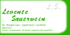 levente sauerwein business card